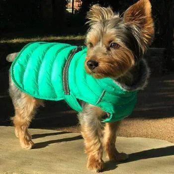 Alpine Extreme Weather Puffer Dog Coat - Arcadia