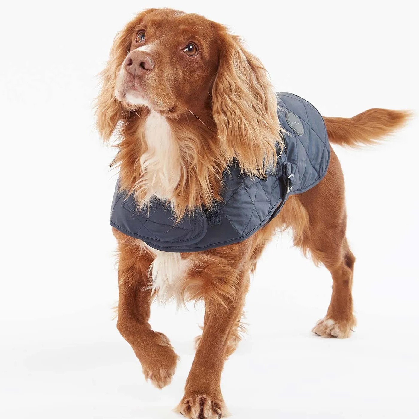 Barbour Quilted Navy Dog Coat