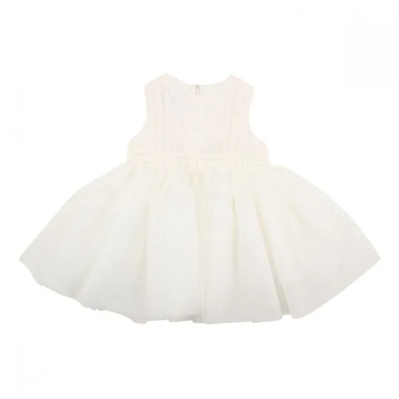 Bebe Embroidered Organza Dress - Ivory