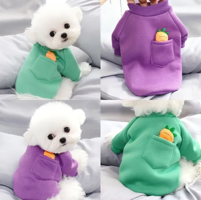 Carrot Dog Sweater with Pocket