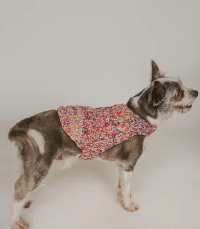 Ishivatva Dog Sweater - Assorted Upcycled Sari Fabric