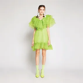 Organza Dress