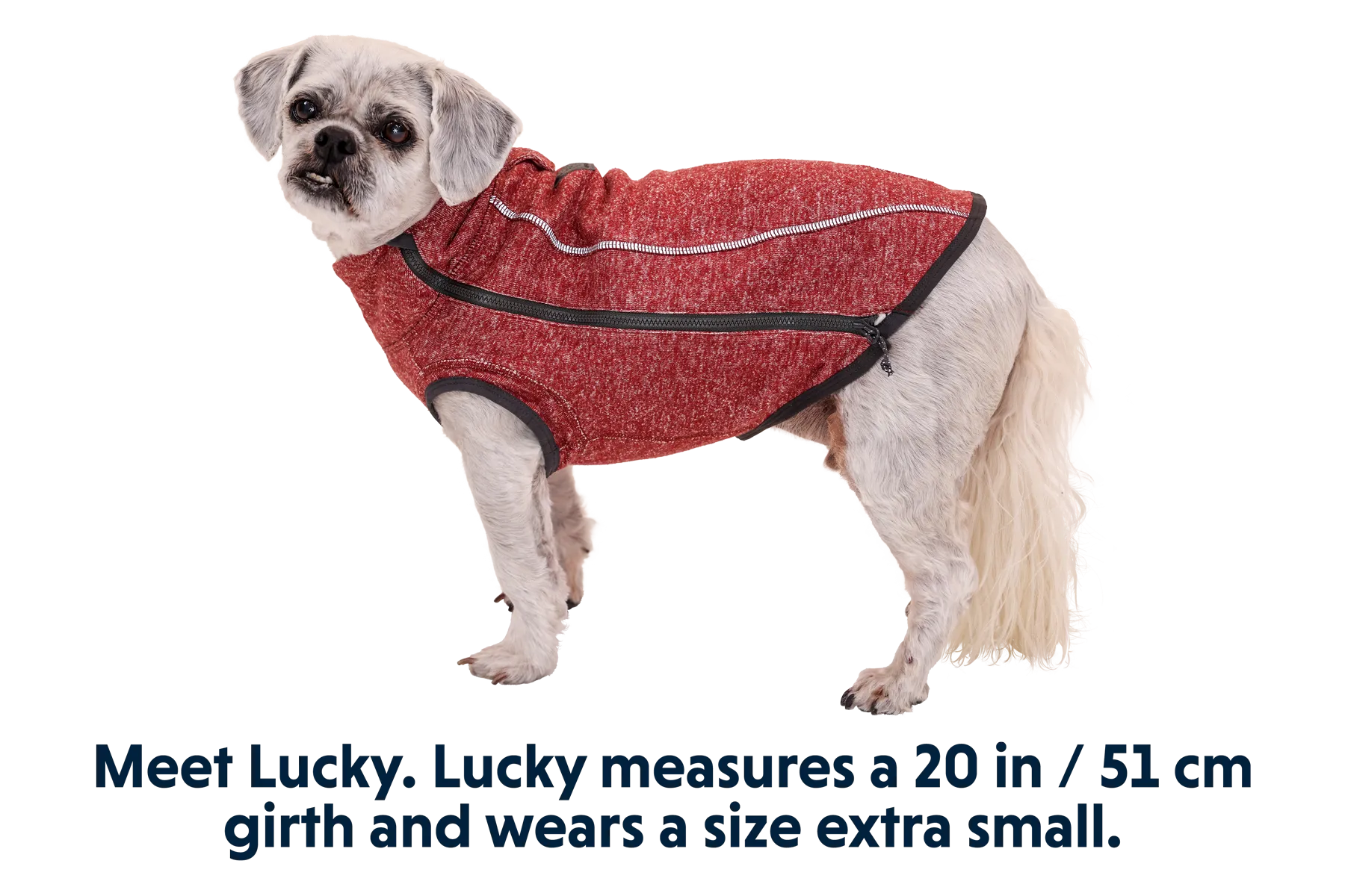 RP - Hemp Hound™ Dog Sweater