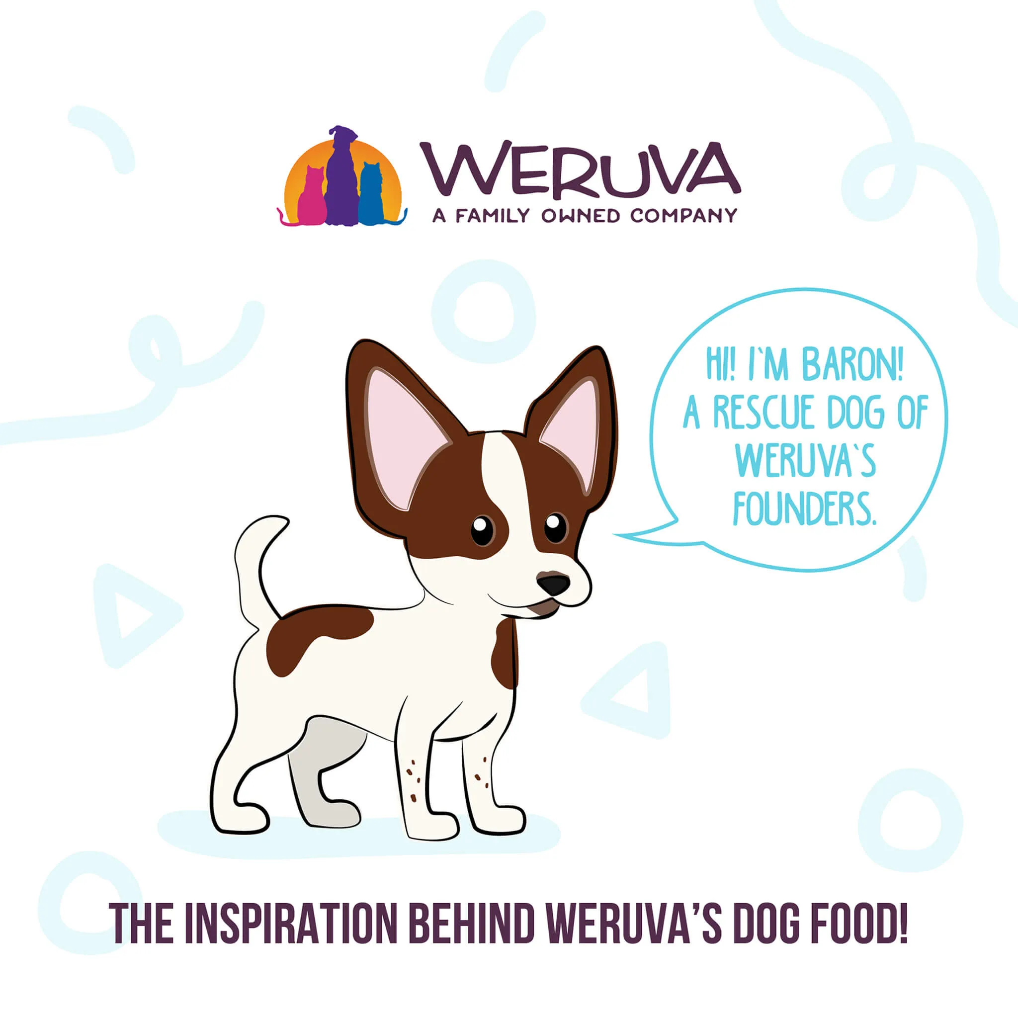 Weruva Meals 'n More Skin & Coat Wet Dog Food